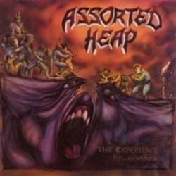 ASSORTED HEAP - The Experience of Horror cover 