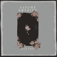 ASSUME NOTHING - Once Lost cover 