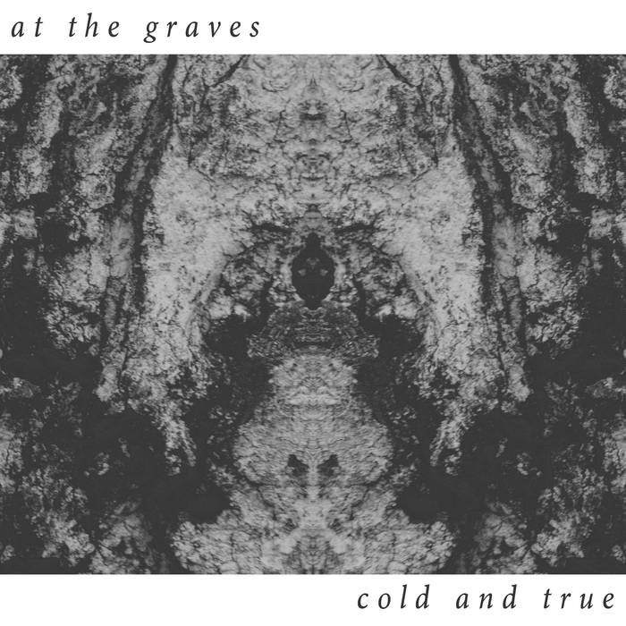 AT THE GRAVES (MD) - Cold And True cover 