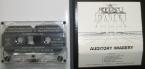 AUDITORY IMAGERY - Demo '89 cover 