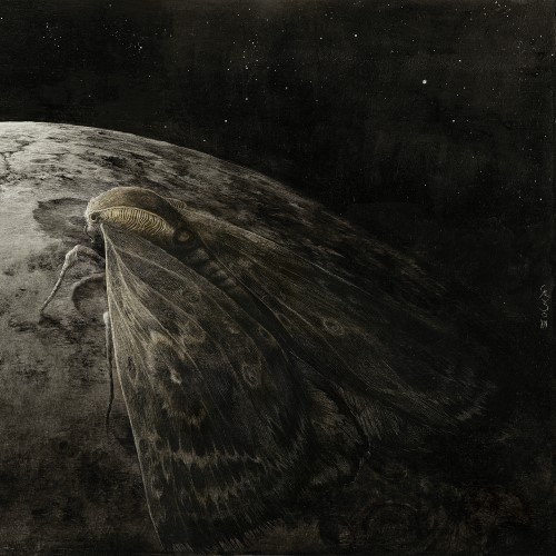 AUGRIMMER - Moth and the Moon cover 