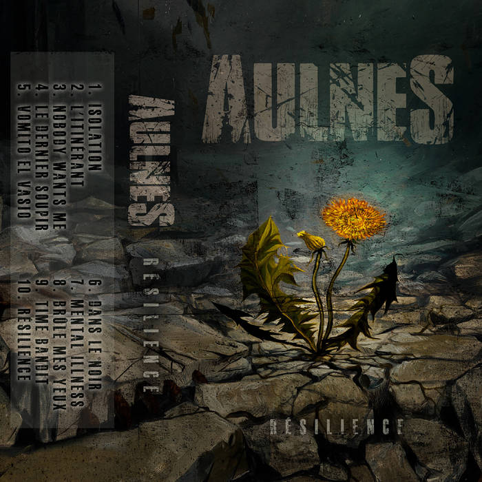 AULNES - Resilience cover 