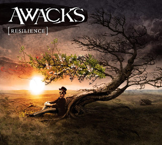 AWACKS - Resilience cover 