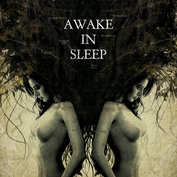 AWAKE IN SLEEP - Awake In Sleep cover 