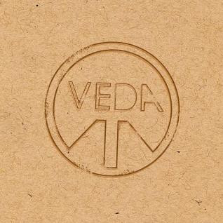 AYURVEDA - Veda cover 
