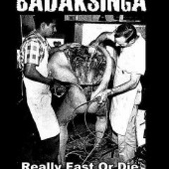 BADAKSINGA - Really Fast Or Die cover 