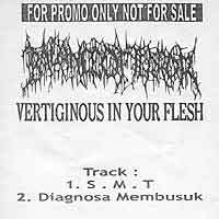 BALANCE OF TERROR - Vertiginous In Your Flesh cover 