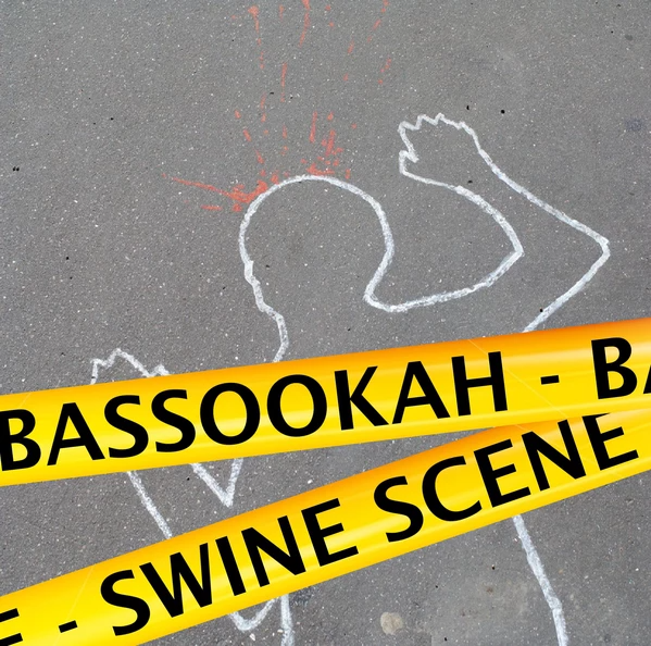 BASSOOKAH - Swine Scene cover 