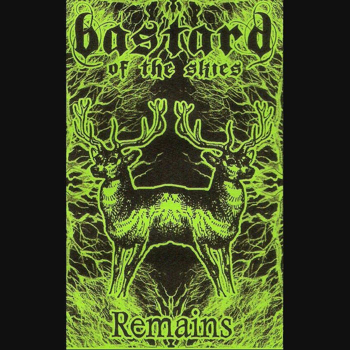BASTARD OF THE SKIES - Remains cover 