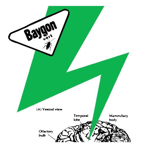 BAYGON VERT - Baygon Vert cover 