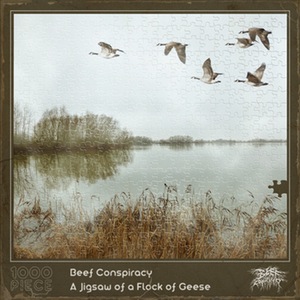 BEEF CONSPIRACY - A Jigsaw of a Flock of Geese cover 