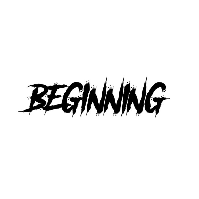 BEGINNING - S​.​J​.​W. cover 