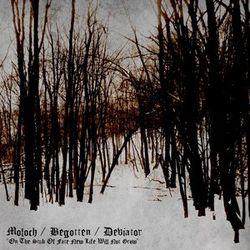BEGOTTEN - On the Stub of Fate New Life Will Not Grow cover 