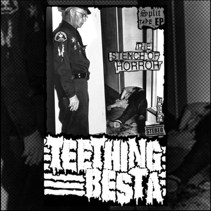 BESTA - The Stench Of Horror cover 