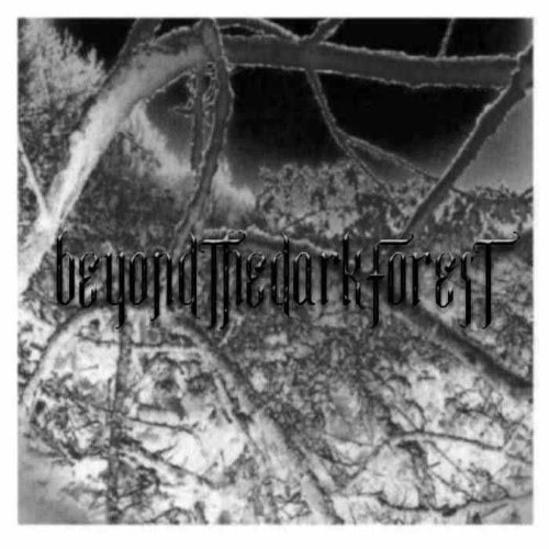 BEYOND THE DARK FOREST - The Frost cover 