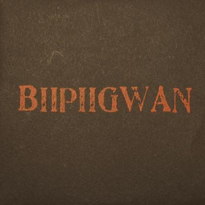 BIIPIIGWAN - Biipiigwan cover 