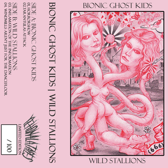 BIONIC GHOST KIDS - Bionic Ghost Kids - Wild Stallions cover 