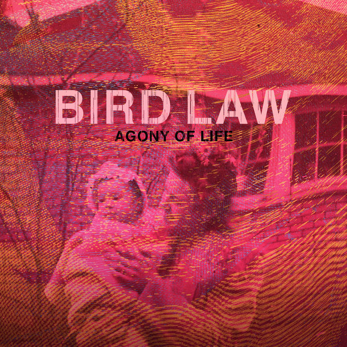 BIRD LAW - Agony Of Life cover 