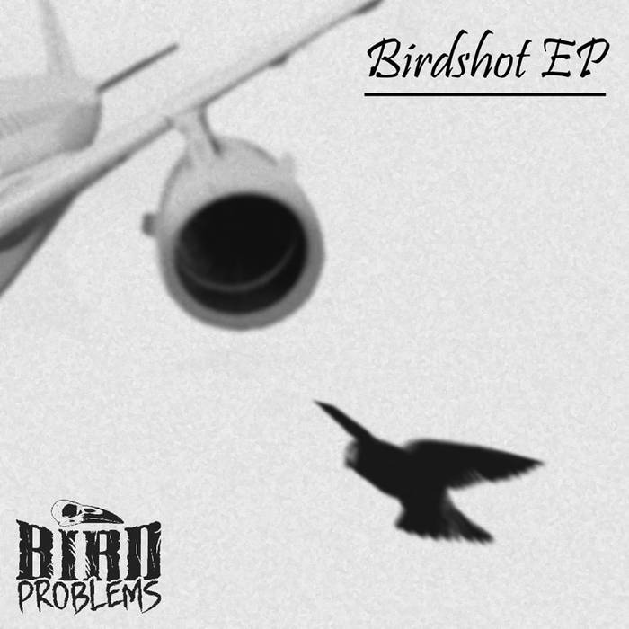 BIRD PROBLEMS - Birdshot EP cover 