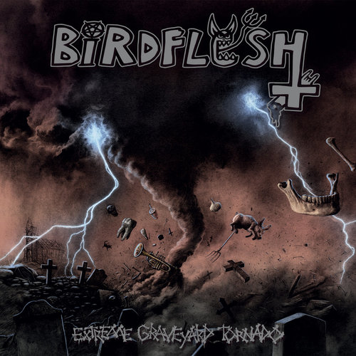 BIRDFLESH - Extreme Graveyard Tornado cover 