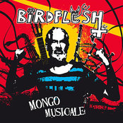 BIRDFLESH - Mongo Musicale cover 