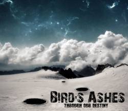 BIRD'S ASHES - Through Our Destiny cover 