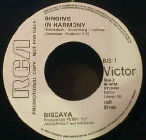 BISCAYA - Summerlove / Singing in Harmony cover 