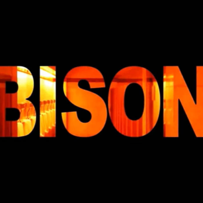 BISON - Bison cover 