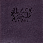 BLACK BONED ANGEL - Bliss and Void Inseparable cover 