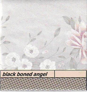 BLACK BONED ANGEL - Supereclipse cover 