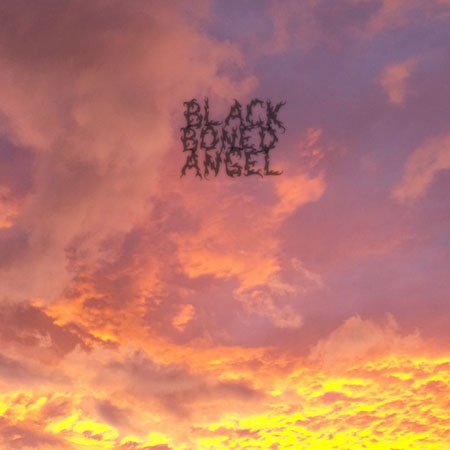 BLACK BONED ANGEL - The End cover 