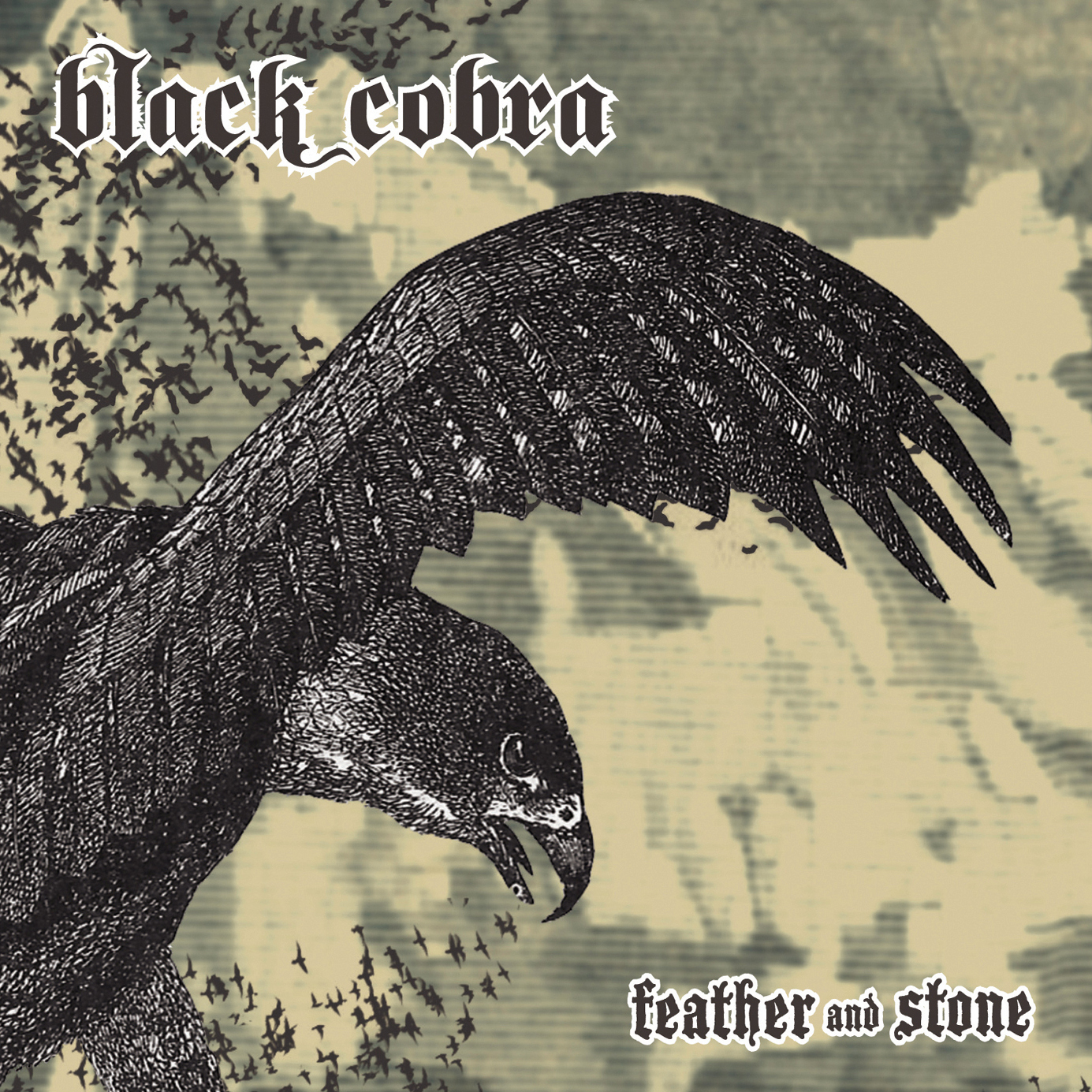 BLACK COBRA - Feather And Stone cover 