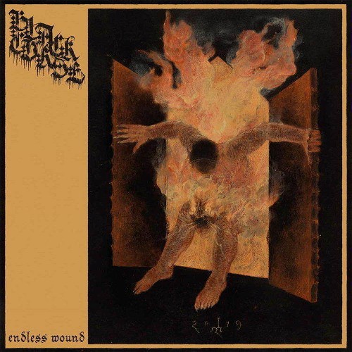 BLACK CURSE - Endless Wound cover 