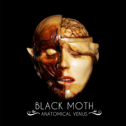 BLACK MOTH - Anatomical Venus cover 