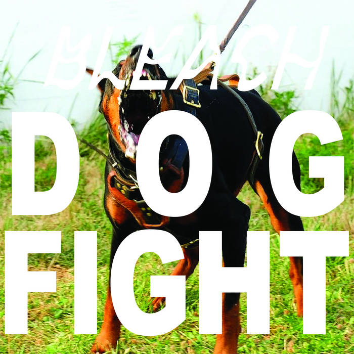 BLEACH - Dog Fight cover 