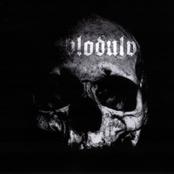 BLODULV - III - Burial cover 