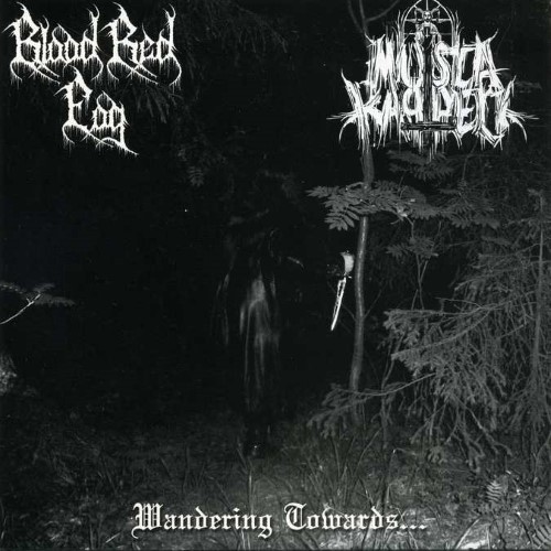 BLOOD RED FOG - Wandering Towards... cover 