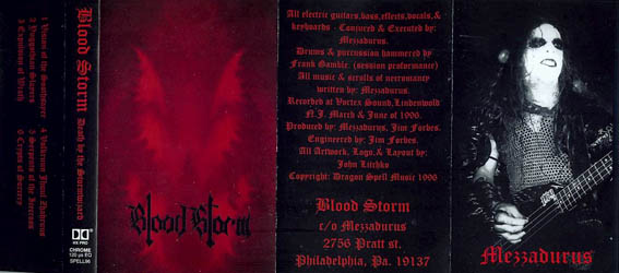 BLOOD STORM - Death by the Stormwizard cover 