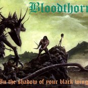 BLOODTHORN - In the Shadow of Your Black Wings cover 