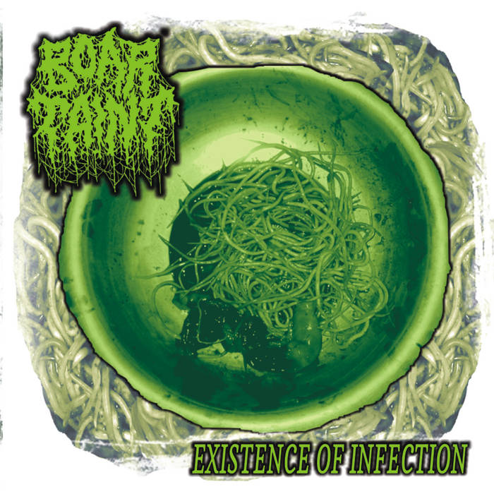 BOAR TAINT - Existence of Infection cover 