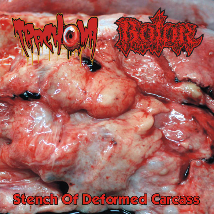 BOLOR - Stench of Deformed Carcass cover 