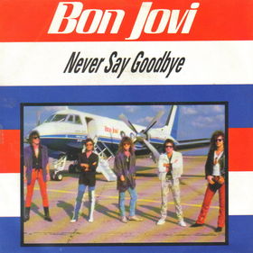 BON JOVI - Never Say Goodbye cover 