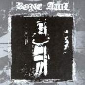 BONE AWL - Night Is Indifferent cover 