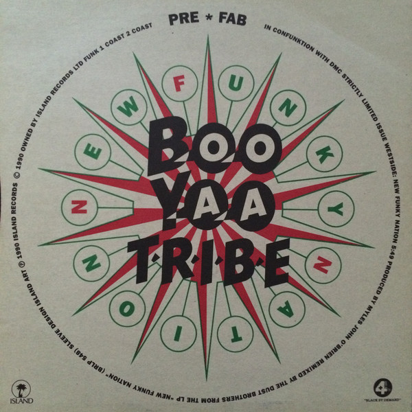 BOO-YAA T.R.I.B.E. - New Funky Nation / Funkin' Lesson cover 