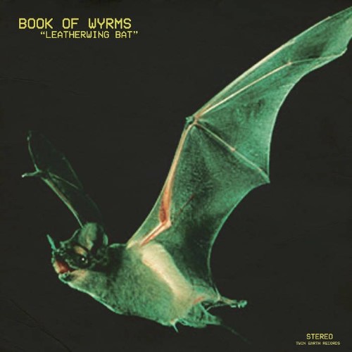 BOOK OF WYRMS - Leatherwing Bat cover 