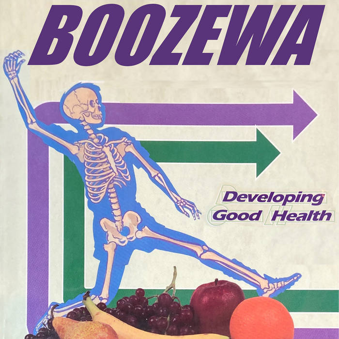 BOOZEWA - Developing Good Health cover 
