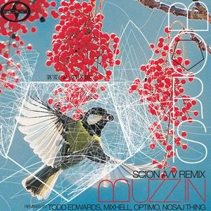BORIS - Scion A/V Remix: Buzz-In cover 