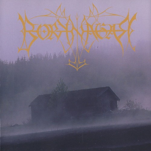 BORKNAGAR - Borknagar cover 