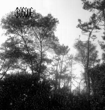 BOSQUE - Dead Nature cover 