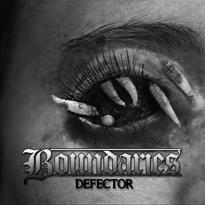 BOUNDARIES - Defector cover 